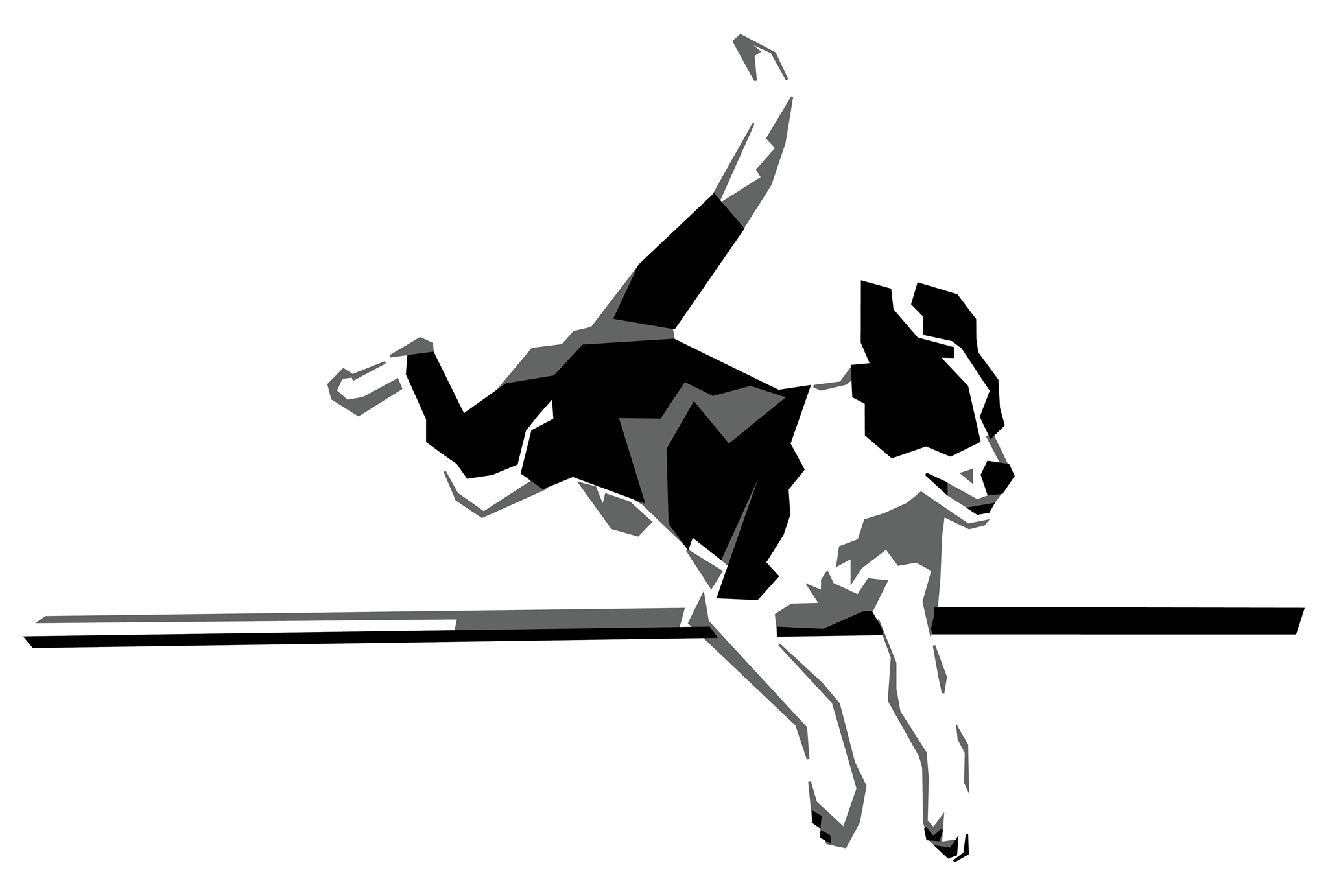 Agility Study